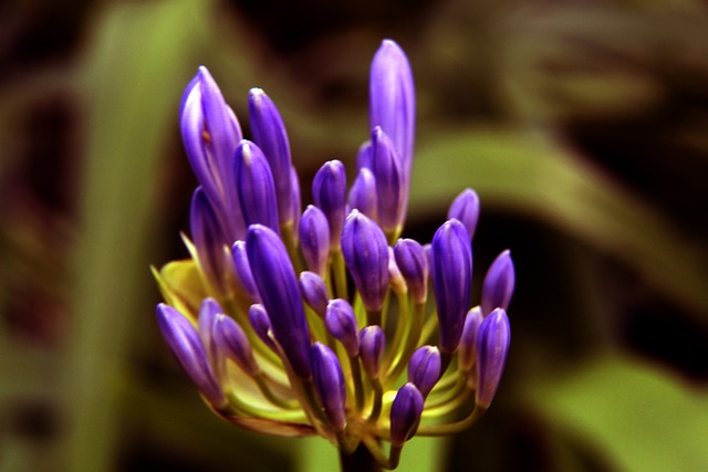 西蘭足球力 西蘭足球力