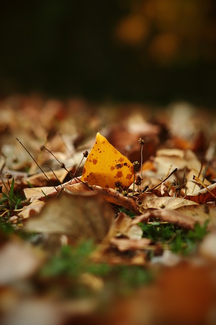 在海量信息 在海量信息