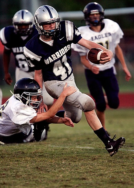 迷关注的焦 迷关注的焦