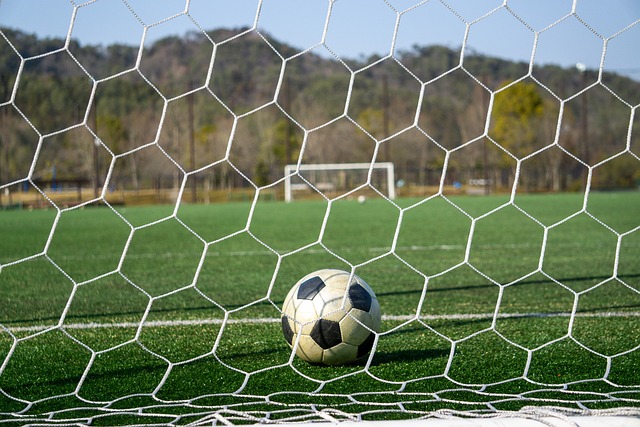 乎很多球迷 乎很多球迷