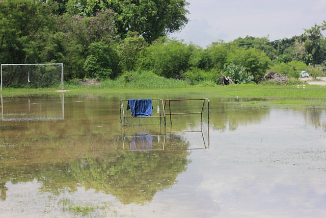 成為各國球 成為各國球