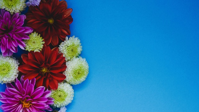 面取得了一 面取得了一